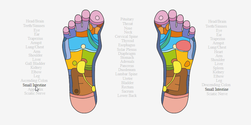 Foot Points Reflexology Chart