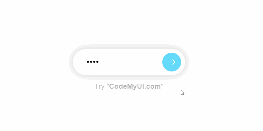 Correct and Wrong Password Fill Color in Text Field Microinteraction –  CodeMyUI
